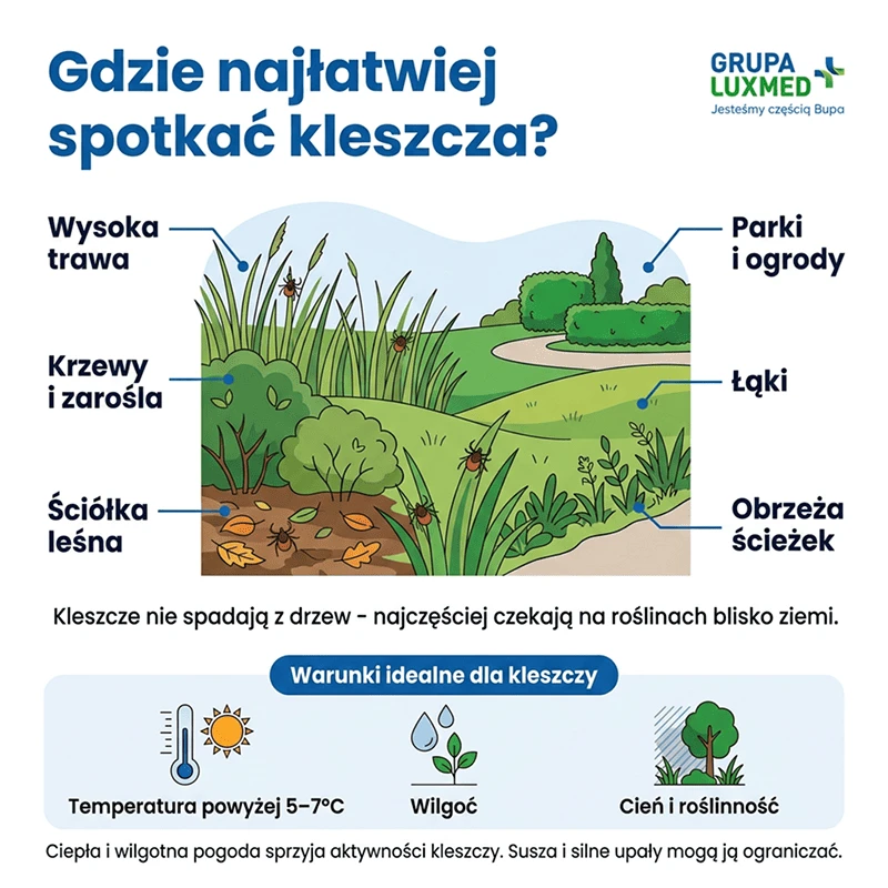 desktop_gdzie spotkac kleszcza.png