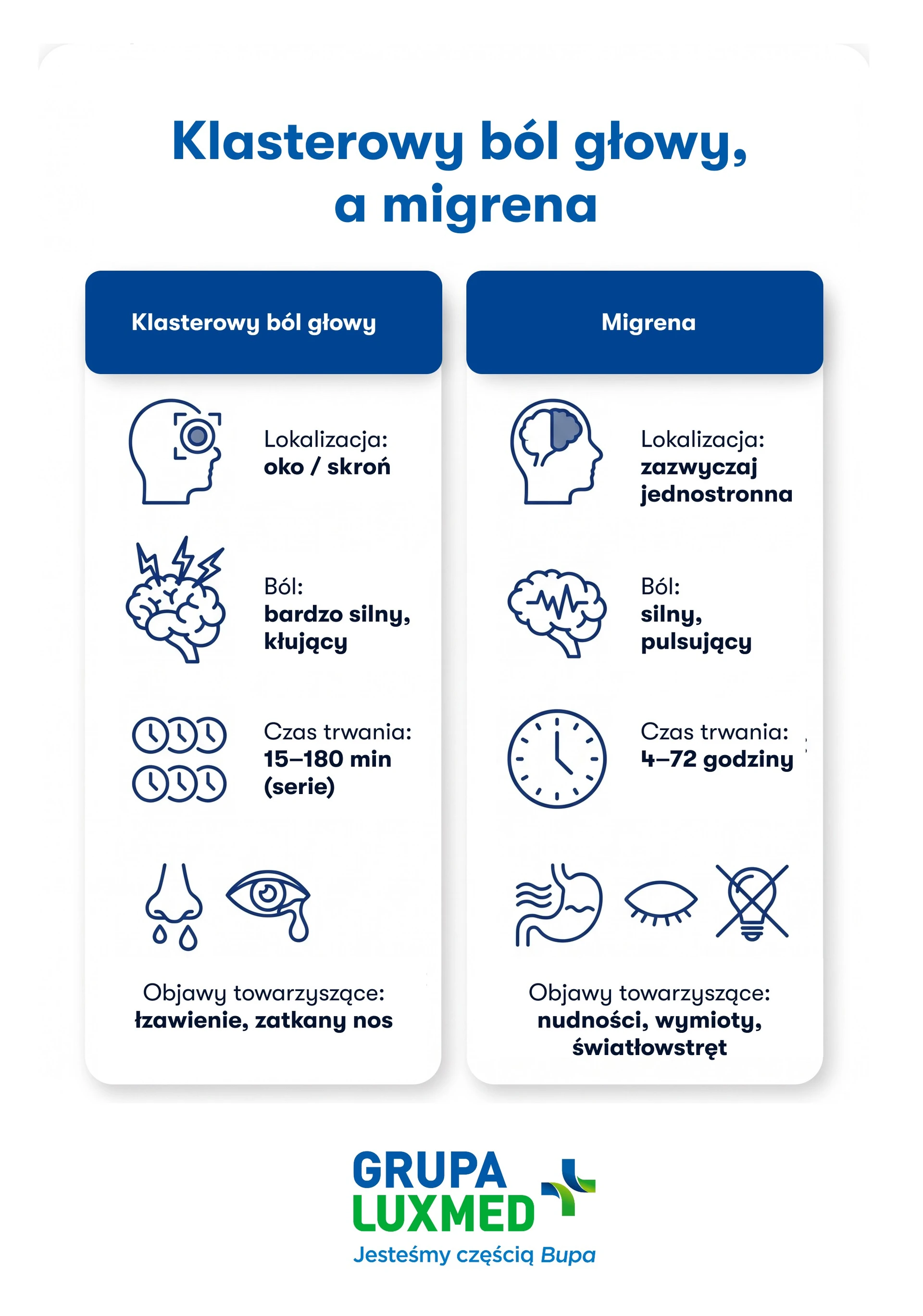 infografika-klasterowy-bol-glowy-desktop.jpg