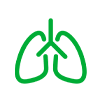 pneumokoki
