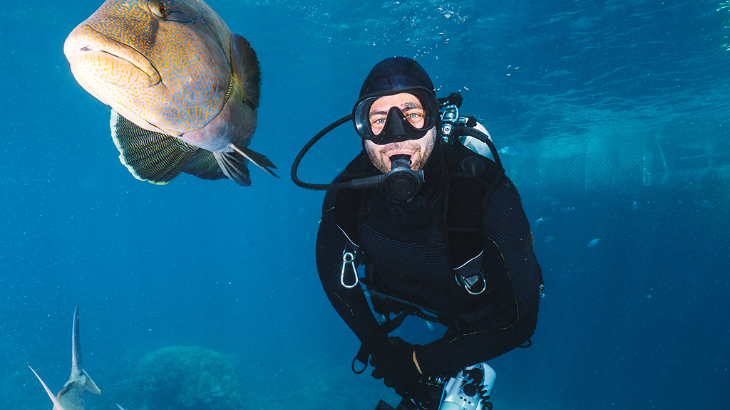 Pakiet badań okresowych po 12 miesiącach orzecznictwa sportowego — nurkowanie