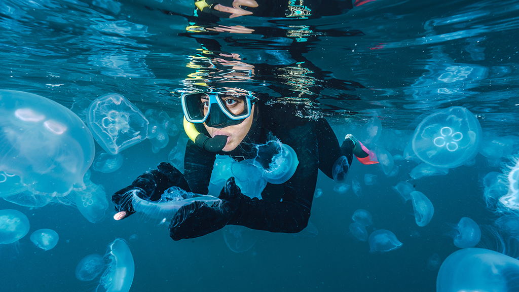 Pakiet badań okresowych po 24 miesiącach orzecznictwa sportowego - nurkowanie