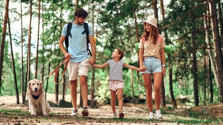 Rodzina spacerująca po lesie bez ochrony przed kleszczami
